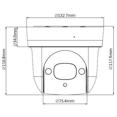 PTZ IP 2MP Starlight, IR 30m, zoom 4x