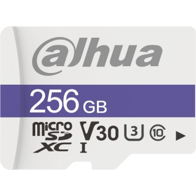 Micro carte SD Classe 10 256 GB