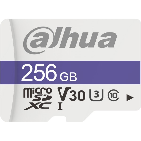 Micro carte SD Classe 10 256 GB